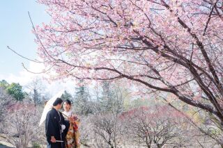 【2/1～3/15撮影限定】梅の花・菜の花・河津桜などお好きなお花とスタジオで撮影ができる♡和装２着99,000円／230カット