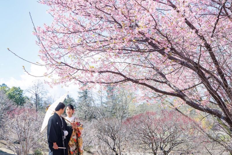 【2/1～3/15撮影限定】梅の花・菜の花・河津桜などお好きなお花とスタジオで撮影ができる♡和装２着99,000円／230カット