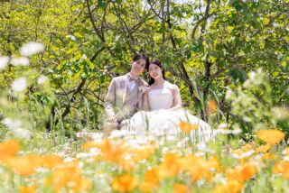 ロケ×スタ和洋プラン✨スタジオ（和）× 昭和記念公園（洋）和洋各1着／データ100枚／新婦ヘアメイク込