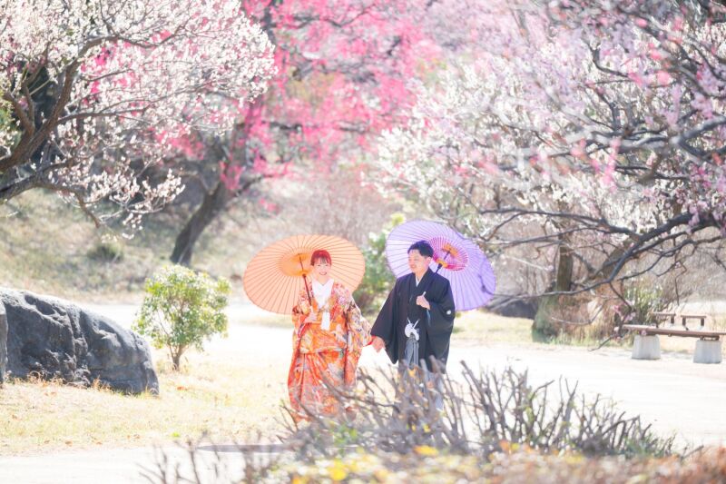 3周年記念『ロケスタ和洋』3/19迄の撮影◇143,000➡93,000円◇日本庭園+スタジオ 2着/選べる特典付き