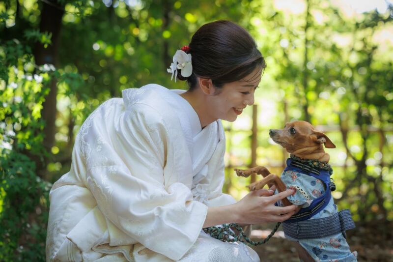 ペットと撮影♡【和装２着】ロケーション撮影+スタジオ　昭和記念公園or高幡不動尊　230枚納品