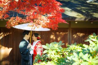 11/26～12/15撮影『 紅葉 』× 日本庭園　和装壱点プラン　衣装１着/新婦美容込/130枚データ付