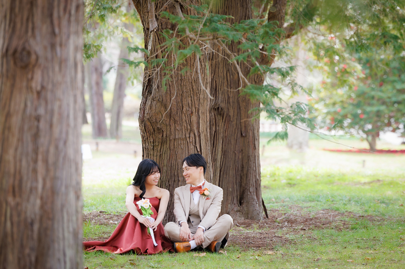 6月撮影◇和洋弐点◇昭和記念公園+スタジオ　123,000円♡210枚　