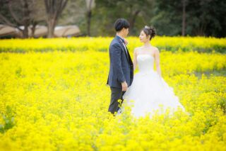 3周年記念『ロケスタ和洋』3/19迄の撮影◇143,000➡93,000円≪洋：ミモザ菜の花など≫≪和：スタジオ≫選べる特典付き