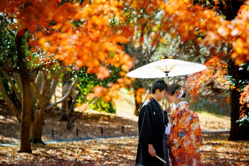 10月~12月の対象期間✨早割22,000円OFF‼️ 和装弐点プラン◇昭和記念公園「日本庭園」+スタジオ 新婦2着200枚