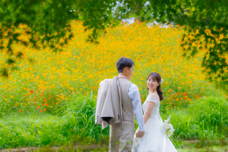 ロケ&times;スタ和洋✨キバナコスモス(洋) +スタジオ(和)♡データ150枚♡／ウェルカムボード付＆土日祝UP無料♡