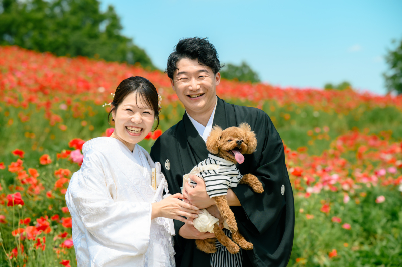 【愛犬と撮影♡】和装弐点プラン◇お好きなロケーション+スタジオ◇衣裳2着/200カット