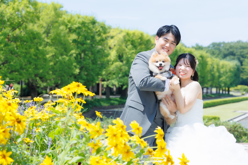 【愛犬と撮影♡】早割‼️和装弐点プラン◇9/1~10/31撮影ロケ+スタジオ◇特典つき 230枚