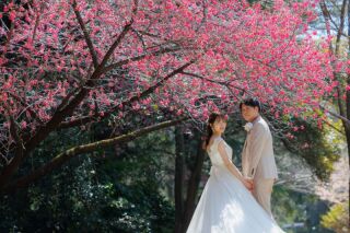 【さくら直前campaign✨3/24迄】和洋弐点 ≪洋：寒緋桜・ミモザ・菜の花≫≪和：スタジオ≫2万円OFF✨123,000円