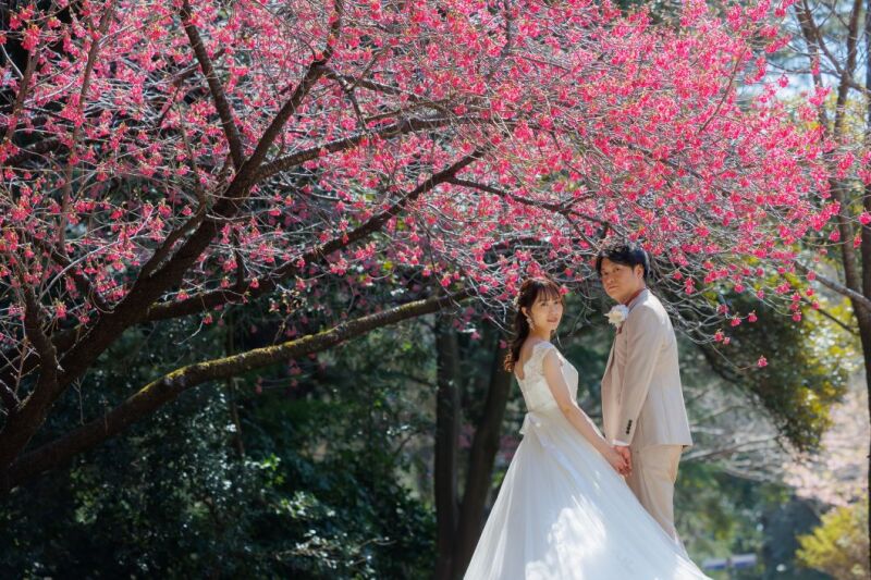 【さくら直前campaign✨3/24迄】和洋弐点 ≪洋:寒緋桜・ミモザ・菜の花≫≪和:スタジオ≫2万円OFF✨123,000円