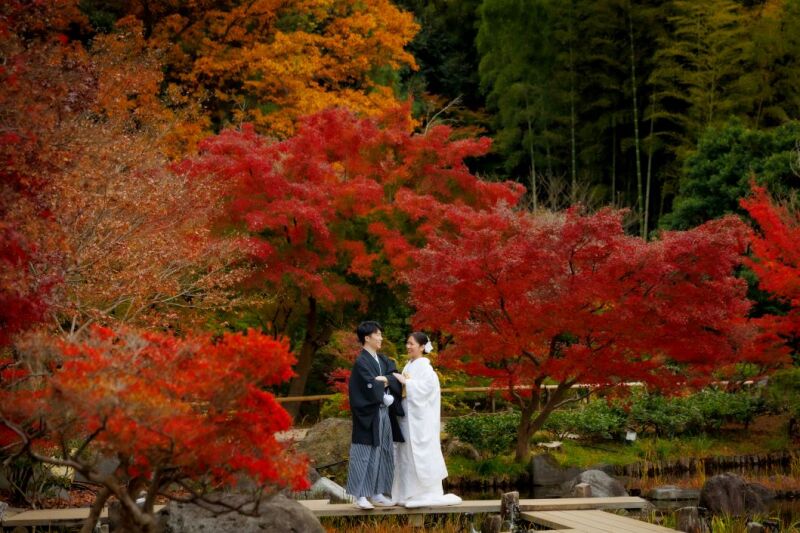 11/25~12/6撮影◇紅葉フォト 昭和記念公園「日本庭園」+正座ショット付き◇和装壱点プラン1着/100枚/120,000円