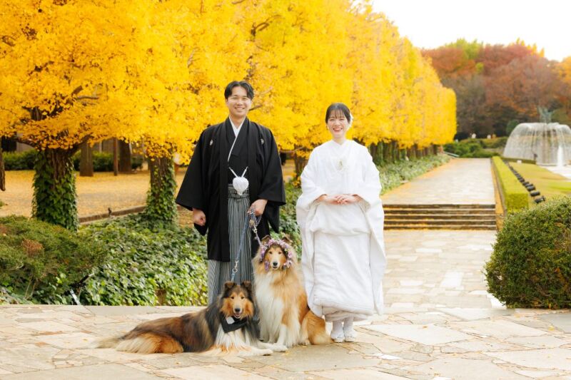 特典つき★年内対象期間限定◇昭和記念公園「西洋庭園・イチョウ並木」×スタジオ『ロケスタ和洋』108,000円/100枚