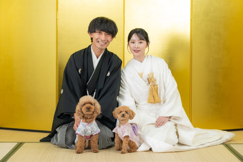 【愛犬と撮影♡】早割‼️和装弐点プラン◇10/1~10/31撮影ロケ+スタジオ◇特典つき 200枚