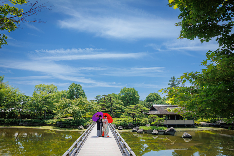 【紫陽花キャンペーン】 昭和記念公園「紫陽花」和装1着88,000円✨ウェルカムボード付きor土日祝日料金無料‼️