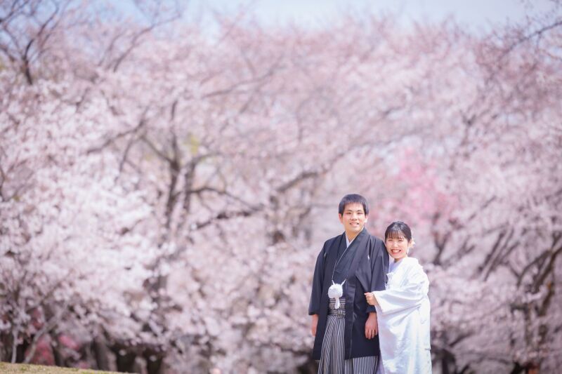 桜フォト♡3/26~4/10 ≪和装:桜≫≪洋装:スタジオ≫210枚/新婦美容込/衣裳差額無し/移動費込み