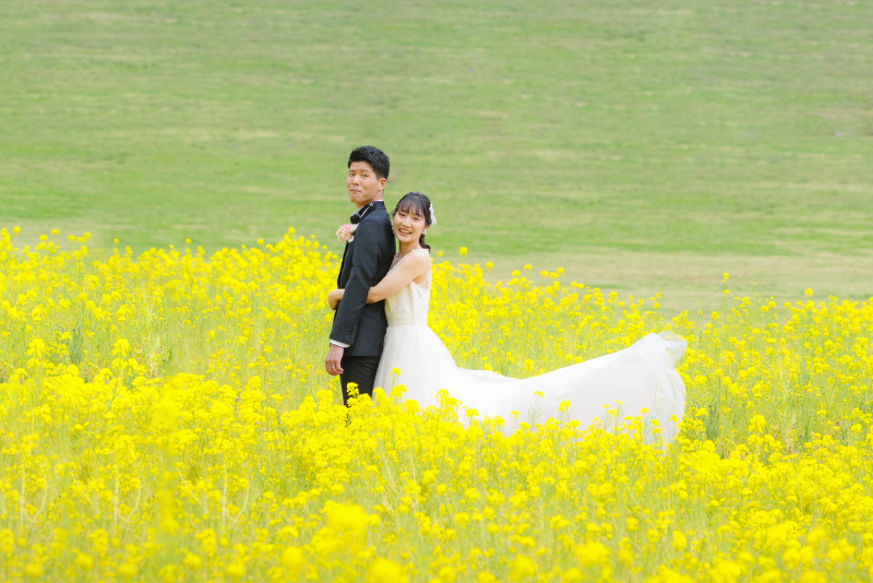 【さくら直前campaign✨3/24迄】和洋弐点 ≪洋:寒緋桜・ミモザ・菜の花≫≪和:スタジオ≫2万円OFF✨123,000円