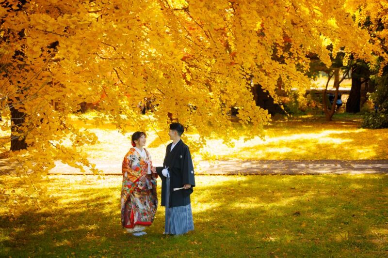 11/25~12/6◇深緑・紅葉「日本庭園」+スタジオ◇和装弐点プラン 和装2着/200枚/130,000円