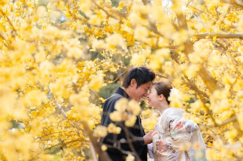 【立川店4周年記念プラン】『ロケスタ和装2着』69,000円!選べる特典:データ50カットなど♪