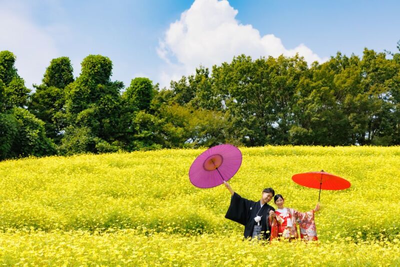 サマーCampaign✨5大特典付き『和装弐点プラン』昭和記念公園+スタジオ♡データ満足230枚で庭園とお花どちらも撮影できる◎
