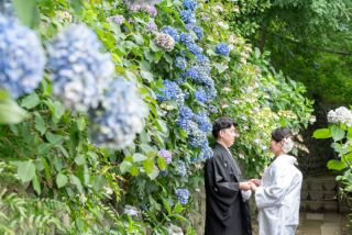 平日限定‼️高幡不動尊♡紫陽花フォト+洋装スタジオ◇『ロケスタ和洋』93,000円データ100枚