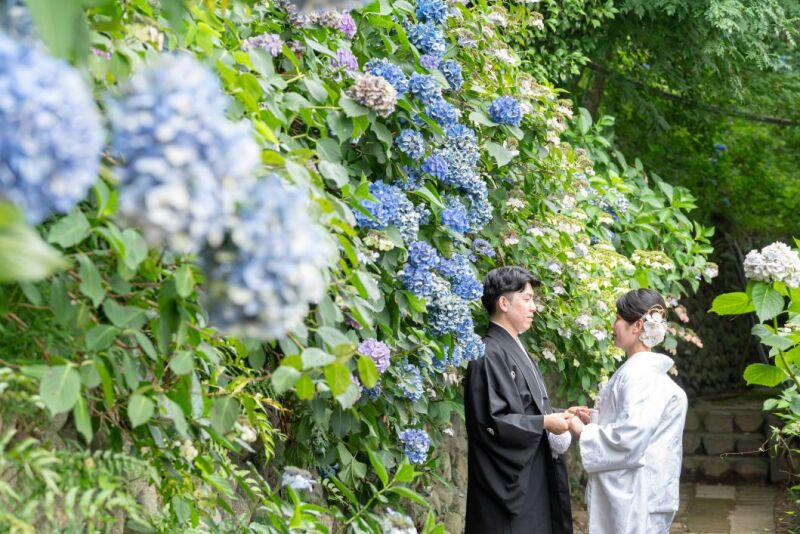 平日10組限定‼️高幡不動尊♡紫陽花フォト+洋装スタジオ◇『ロケスタ和洋』93,000円データ100枚