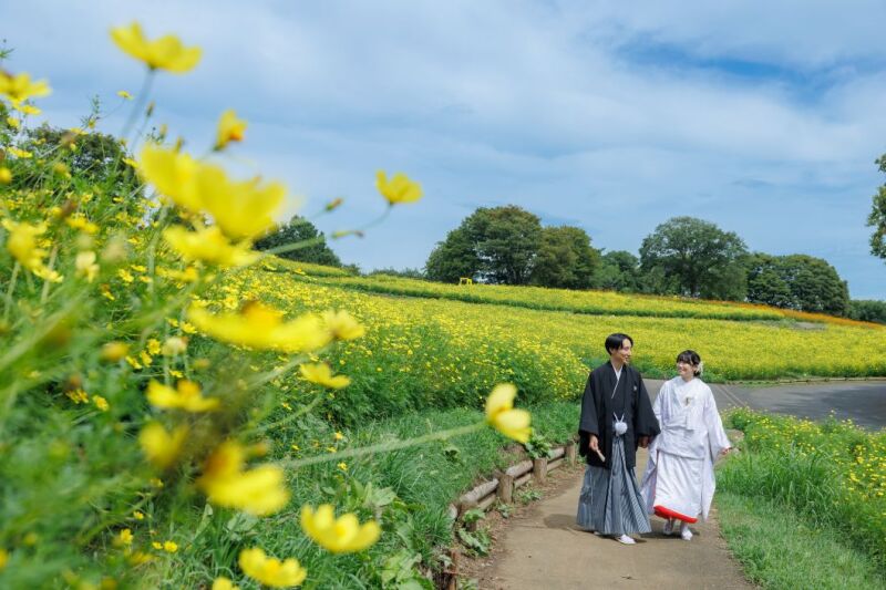 【9/30迄】夏限定2着プラン◇3大特典✨昭和記念公園+スタジオ◇76,000円130枚/ウェルカムボード・土日祝料金無料‼️