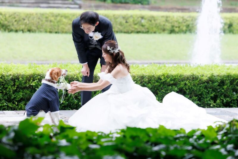 『昭和記念公園洋装１箇所プラン』130カット✨３営業日後クラウド納品レタッチ付き／衣装差額無し♪／