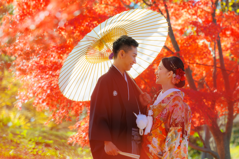 11/25~12/6◇深緑・紅葉「日本庭園」+スタジオ◇和装弐点プラン 和装2着/200枚/130,000円