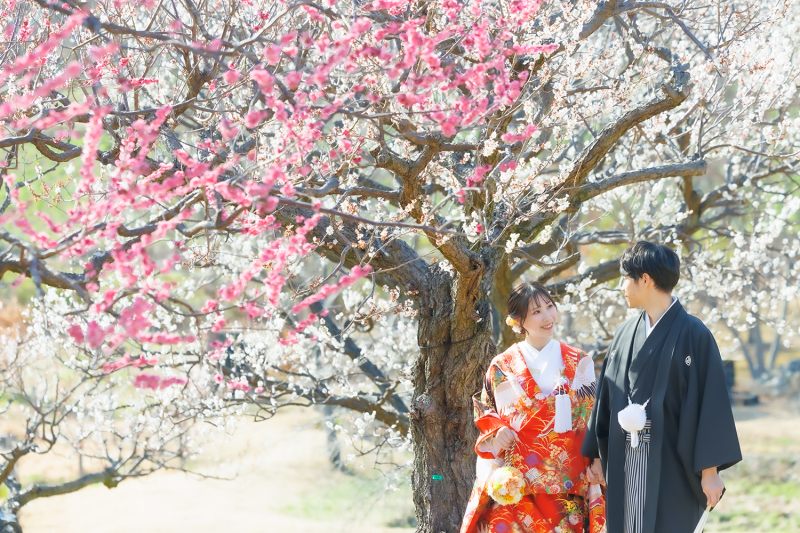 3周年記念【2/21・3/1~3/19限定】『日本庭園(河津桜や梅のお花)×スタジオ』和装2着♡選べる特典付