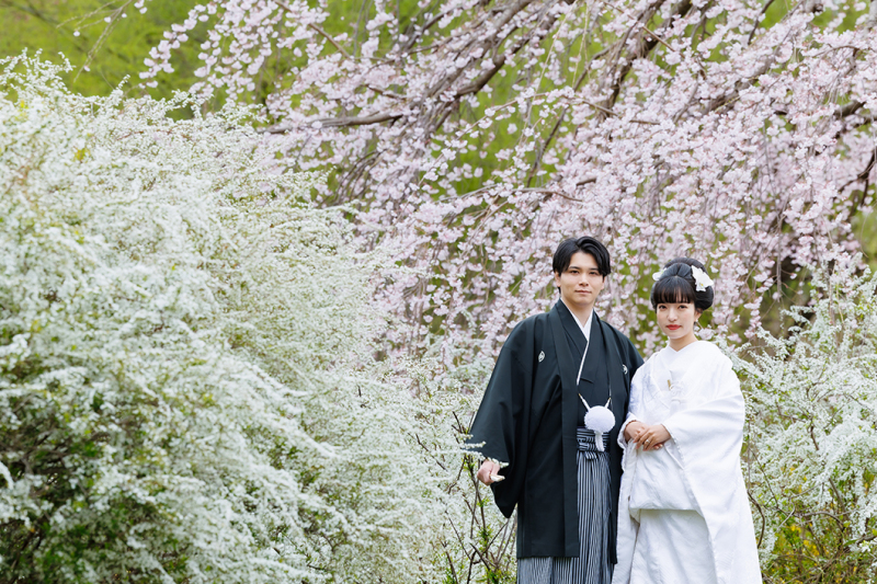 【早咲き桜と日本庭園で撮影‼️残り1枠！3/21・3/27】和装弐点 ≪スタジオ＆昭和記念公園≫