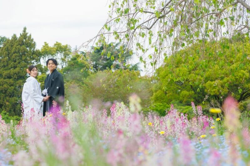 【新緑キャンペーン】和洋弐点≪昭和記念公園の季節のお花≫123,000円210枚付き！ 20,000円OFF／土日料金無料✨