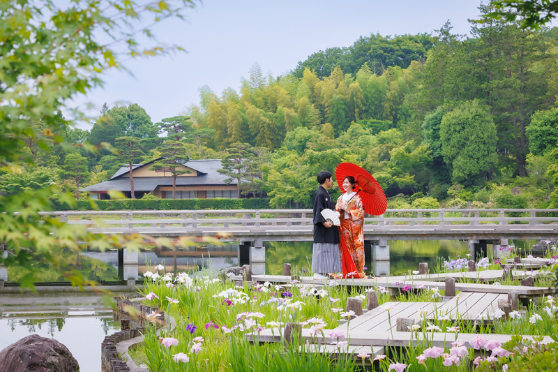 【紫陽花キャンペーン】 昭和記念公園「紫陽花」和装1着88,000円✨ウェルカムボード付きor土日祝日料金無料‼️
