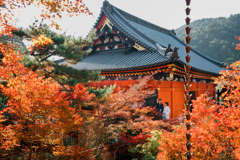 真っ赤な紅葉での毘沙門堂撮影!