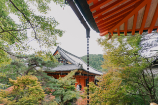 【大阪フォトウエディング】京都で前撮り！毘沙門堂・京都府庁