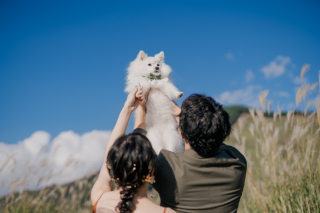 【洋装1着プラン】愛犬と撮るモフモフ前撮り