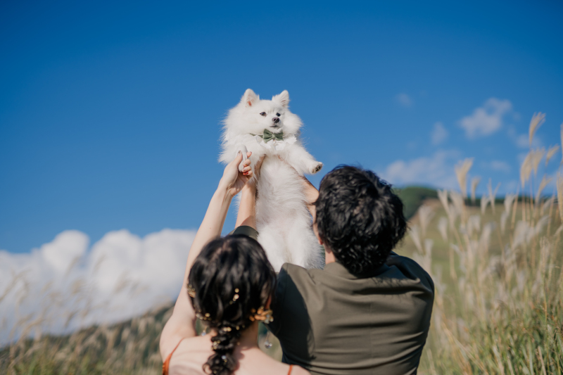 【洋装1着プラン】愛犬と撮るモフモフ前撮り