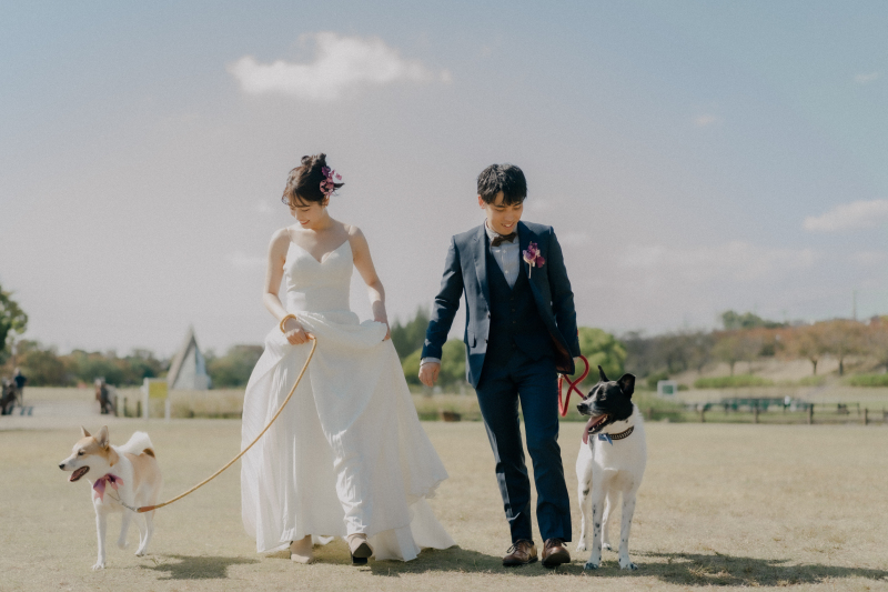 ワンちゃんとの撮影もしております