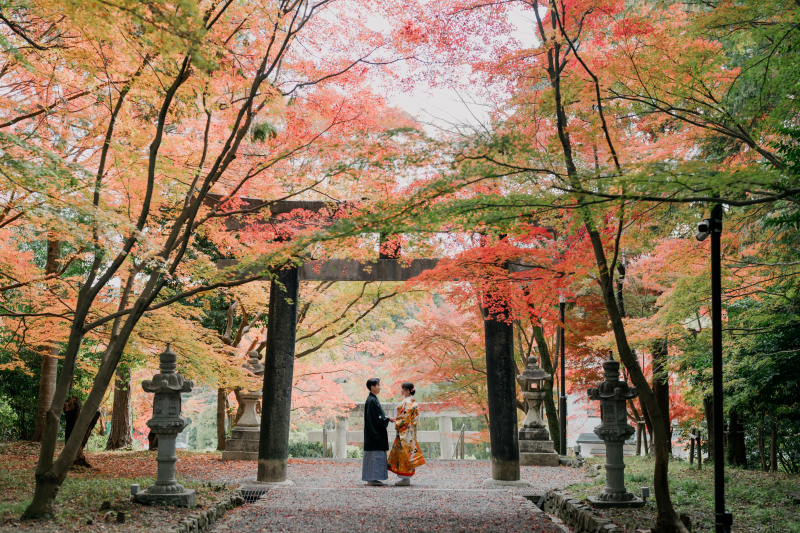 鳥居と紅葉の組み合わせがとっても素敵!