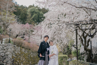 【和装プラン】桜シーズンの長谷寺前撮り