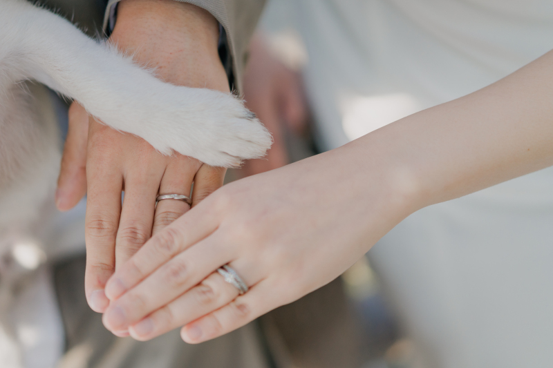 お手元ショット