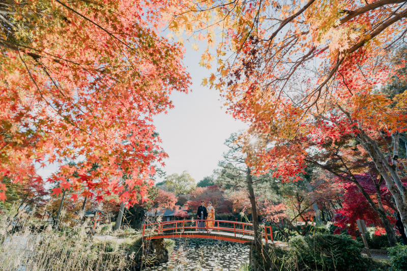 紅葉の名所【大原野神社】