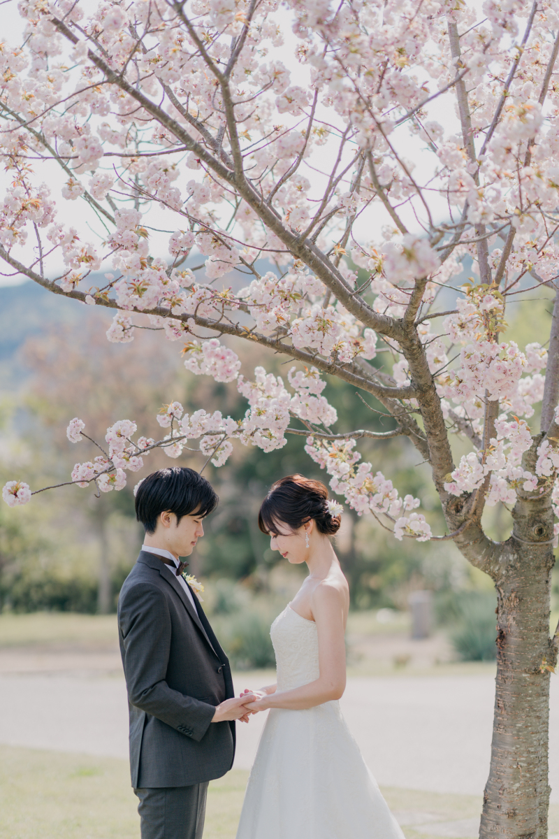 桜の木の下で手を繋いで