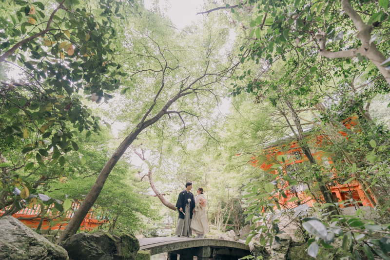 この時期の緑は美しい