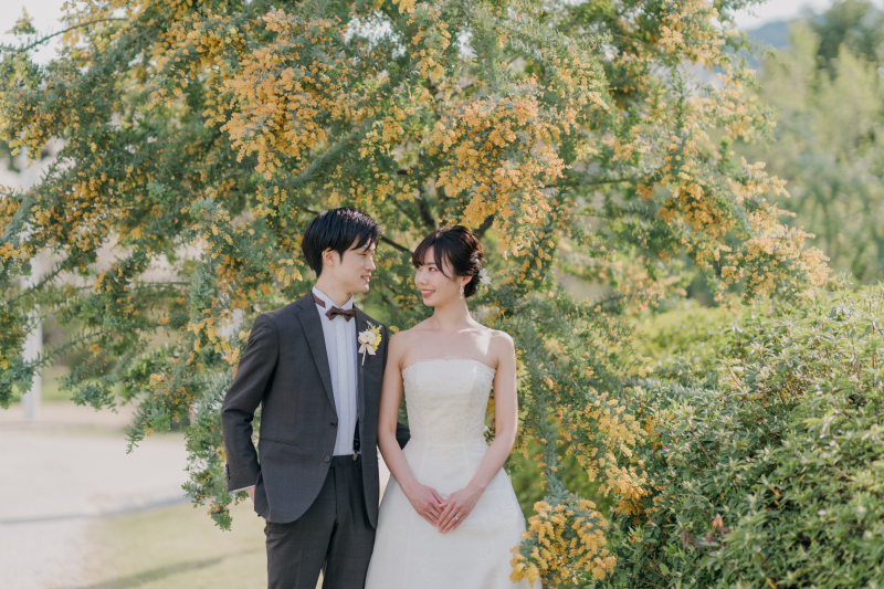 ミモザの花言葉「感謝」