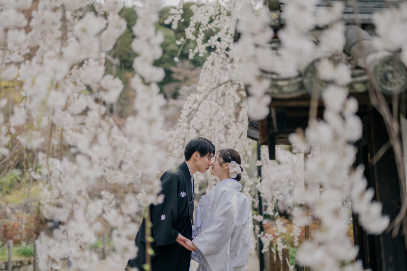 枝垂れ桜に囲まれて