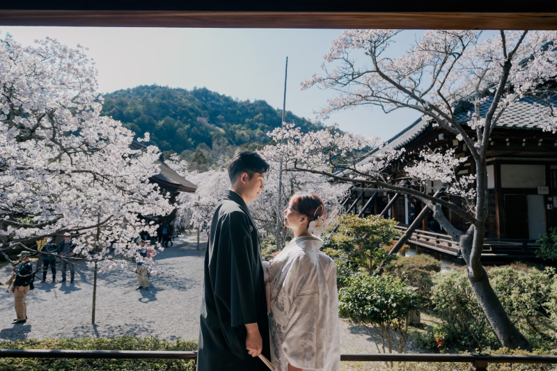 桜と青空