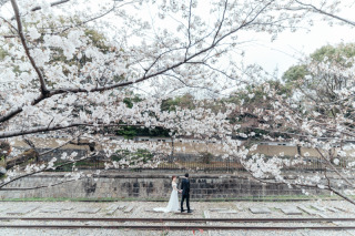 桜×蹴上のウェディングフォト
