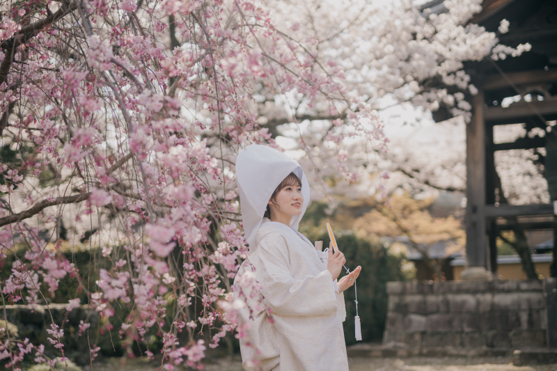 綿帽子