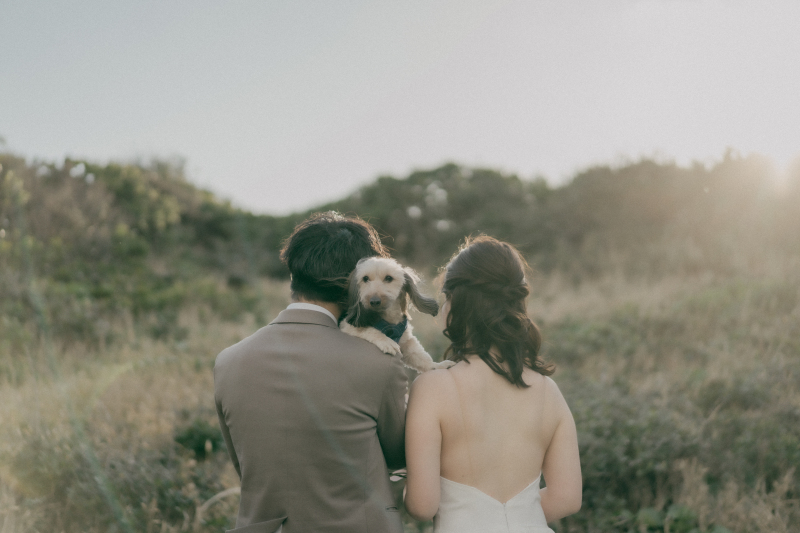 ワンちゃんも一緒です