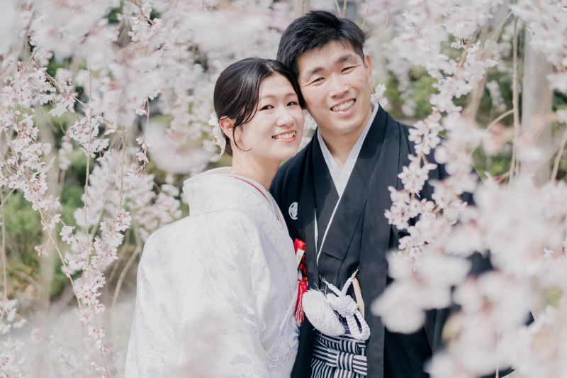 満開！桜日和！